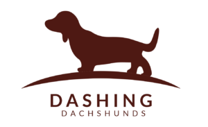 Dashing Logo